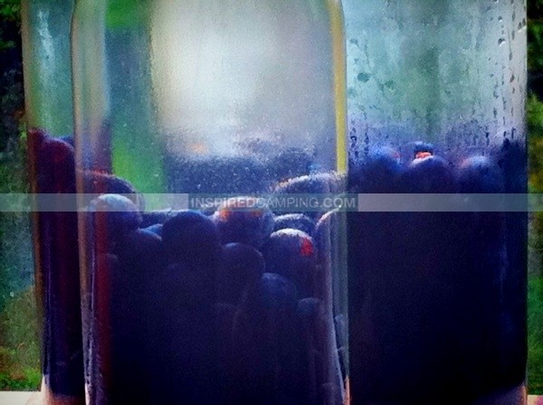 sloe gin vodka