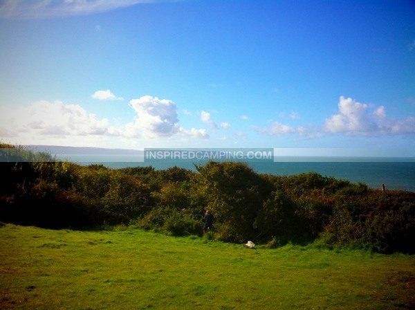 foraging view